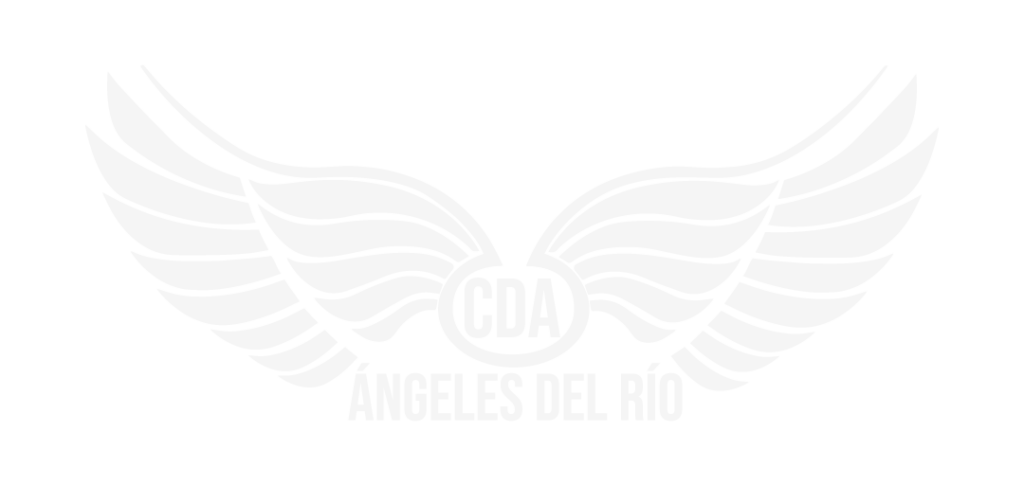 Logo CDA en Tuluá - CDA Ángeles del Río, ofrecemos un servicio especializado de revisión técnico mecánica y emisiones contaminantes para motocicletas 2T y 4T. Contamos con un equipo de profesionales altamente capacitados y utilizamos tecnología de punta, lo que nos permite destacarnos en este segmento.